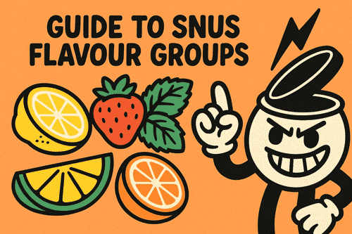 Our Favourite Strong Nicotine Pouch Flavors